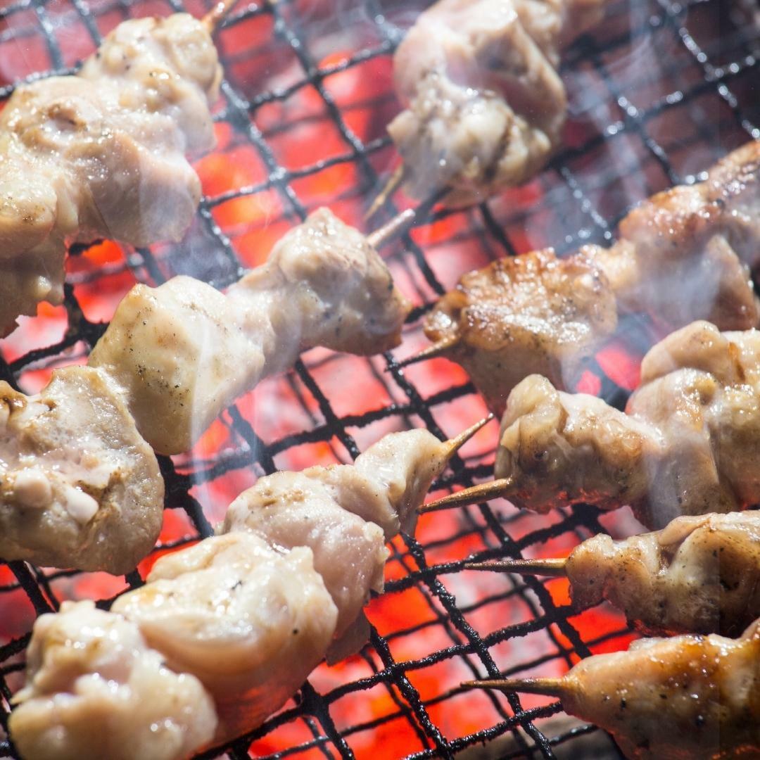 BBQ Grill Diatomaceous Soil Barbecue Charcoal Stove BQ8T Japanese Yakitori Konro