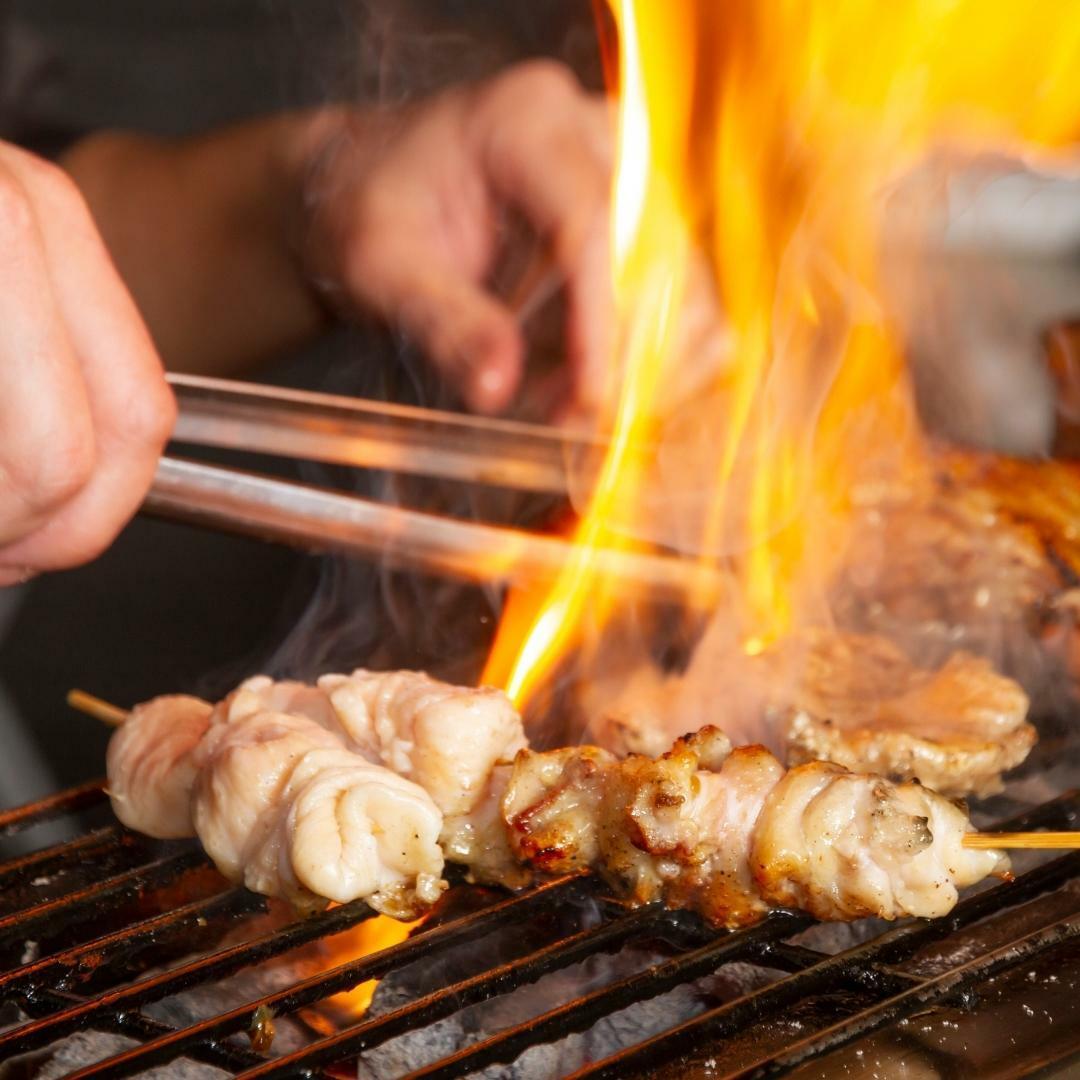 BBQ Grill Diatomaceous Soil Barbecue Charcoal Stove BQ22 Japanese Yakitori Konro